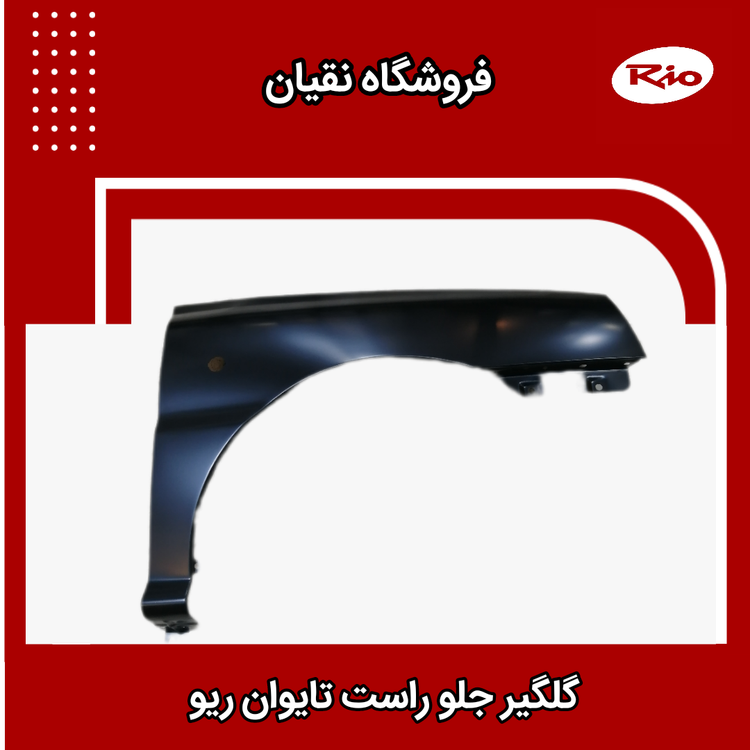 گلگیر جلو راست تایوانی ریو
