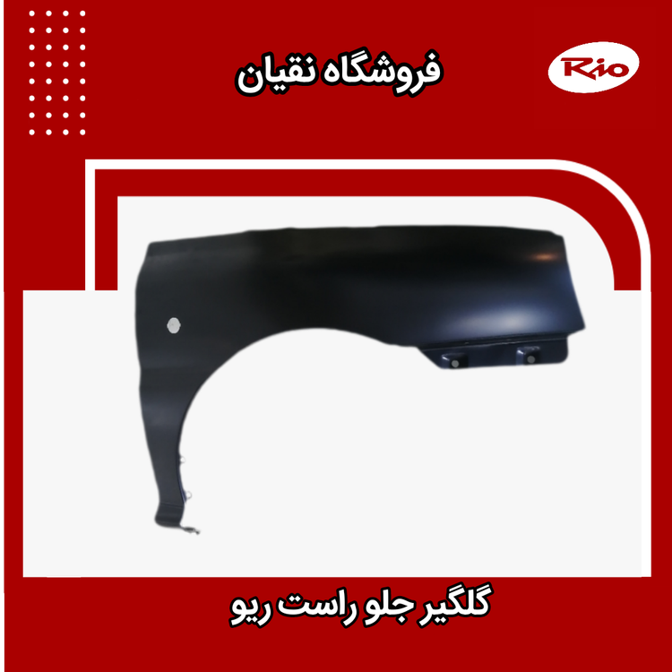 گلگیر جلو راست تایوانی ریو