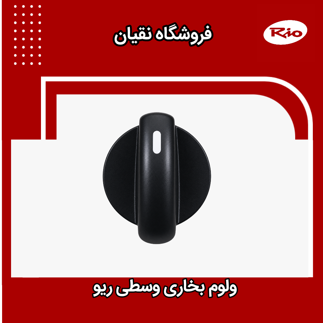 ولوم بخاری وارداتی ریو (وسطی)