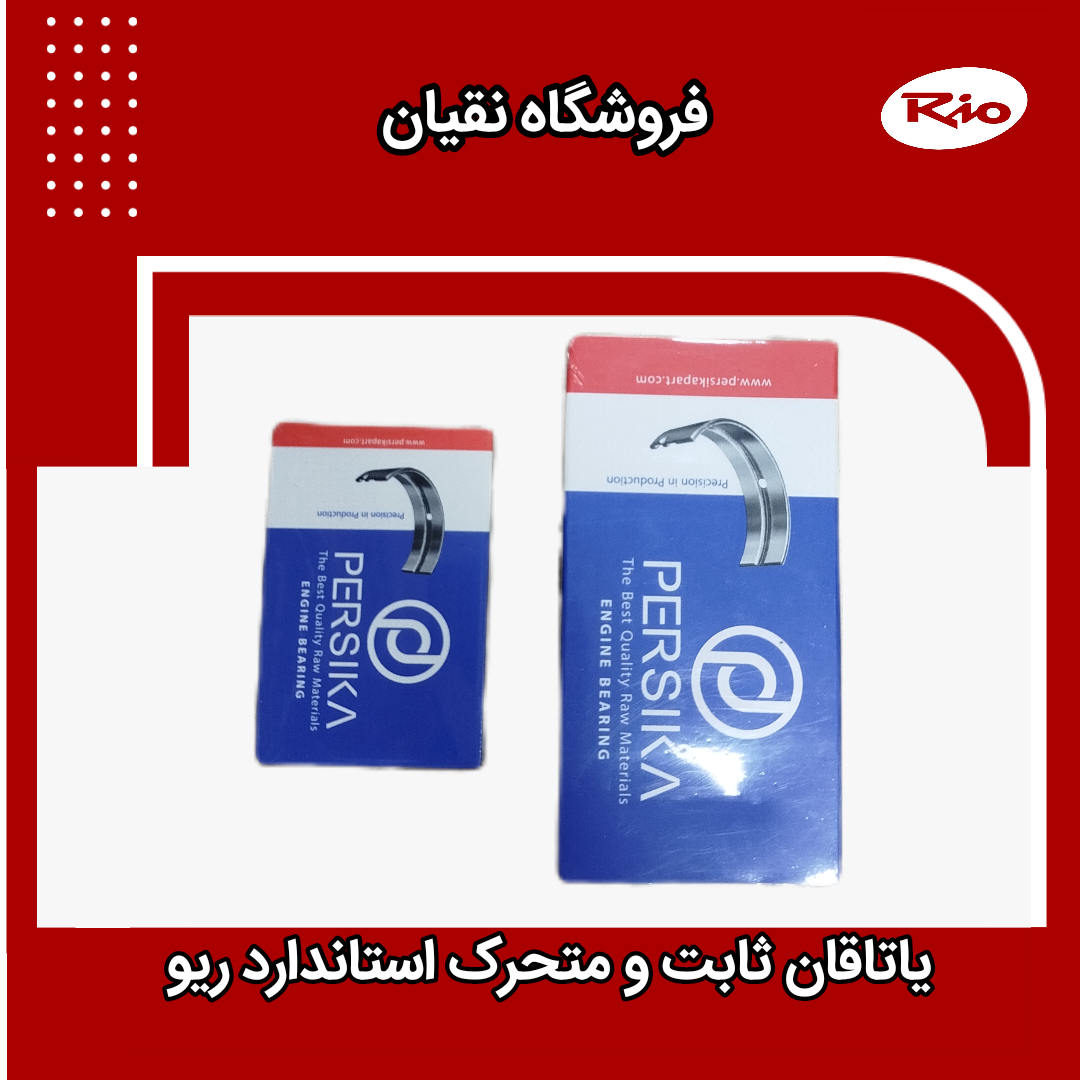 یاتاقان ثابت و متحرک استاندارد ریو